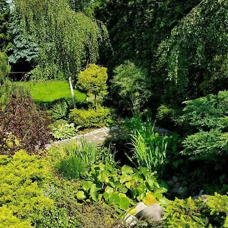 Homestay W Warszawie-wawer